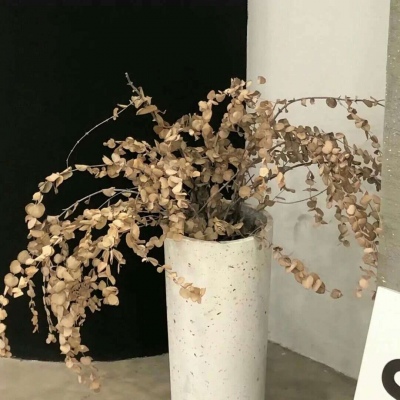 Furry二次元插画创作技巧福瑞交流群